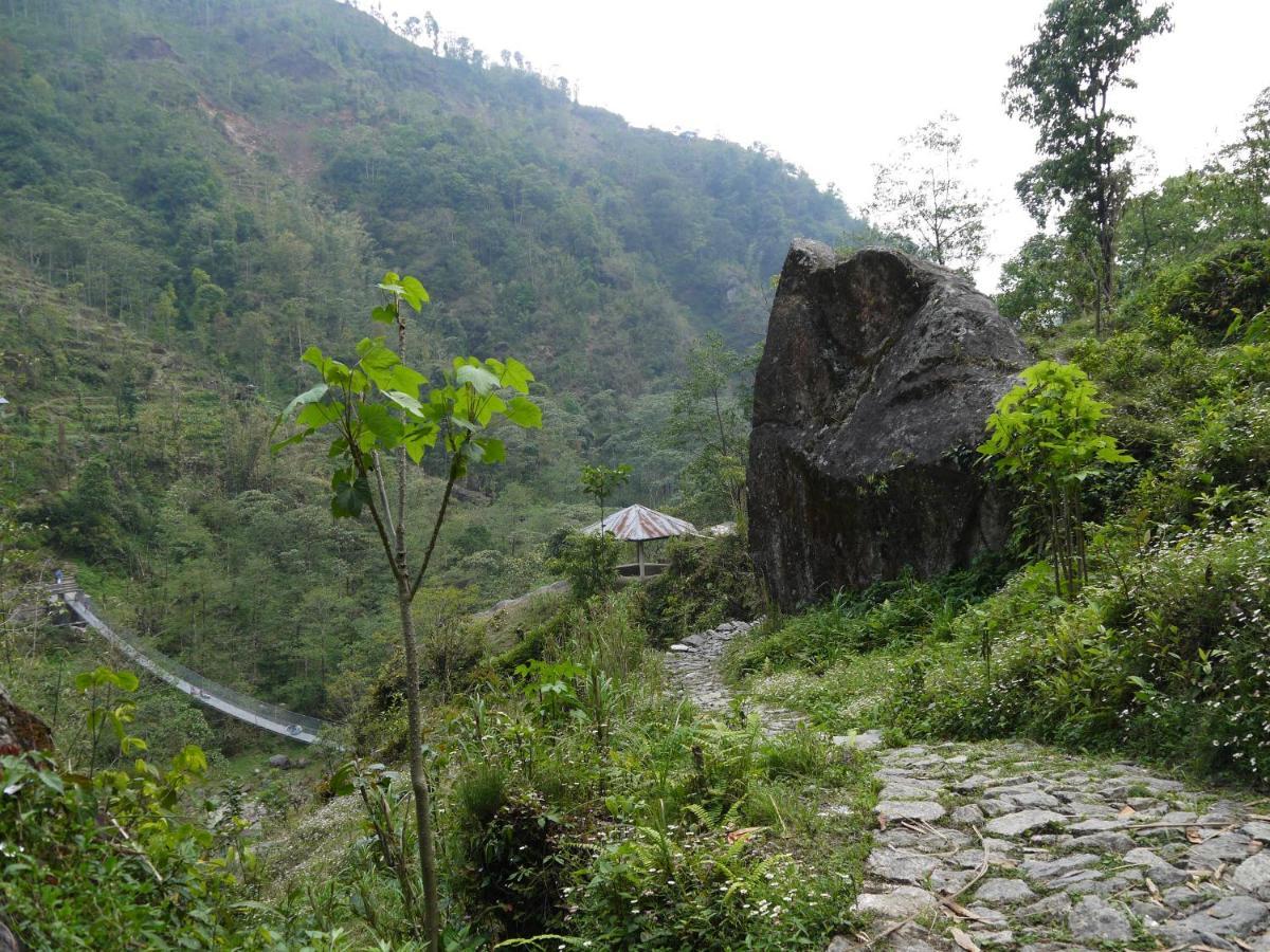 Chintapu Homestay In Ilam, Eastern Nepal Ngoại thất bức ảnh